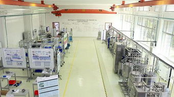 中國模范工廠 打造中國第一家 精益 綠色 實境體驗式教育培