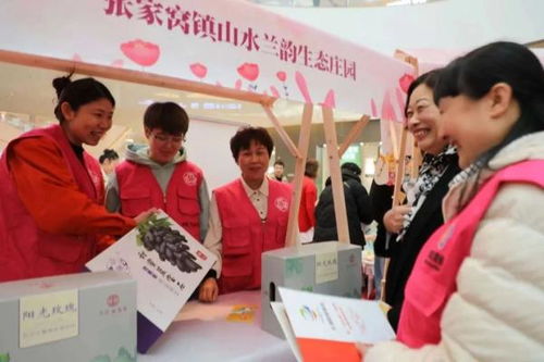 攜手 她 力量 西青區張家窩鎮開展巾幗志愿服務活動