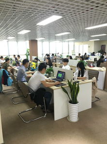 招聘信息 公司前景 規模 待遇怎么樣