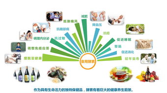 搭建集酵素產(chǎn)品銷售 體驗(yàn) 健康管理咨詢服務(wù)一體化服務(wù)平臺(tái)