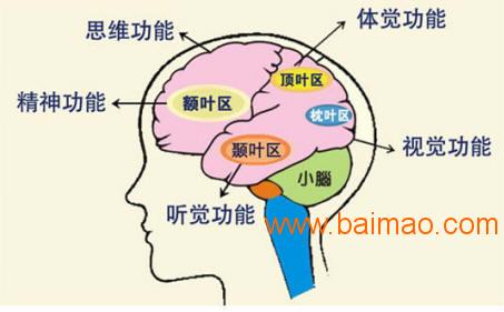 稱心的臨沂全腦開發就在早尚好學能研究中心 臨沭感統,稱心的臨沂全腦開發就在早尚好學能研究中心 臨沭感統生產廠家,稱心的臨沂全腦開發就在早尚好學能研究中心 臨沭感統價格