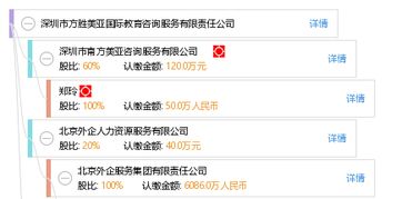 深圳市方勝美亞國際教育咨詢服務有限責任公司